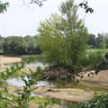 la Loire au plus bas