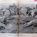 Chasse aigle contre renard 1914 illustration ancienne sp20