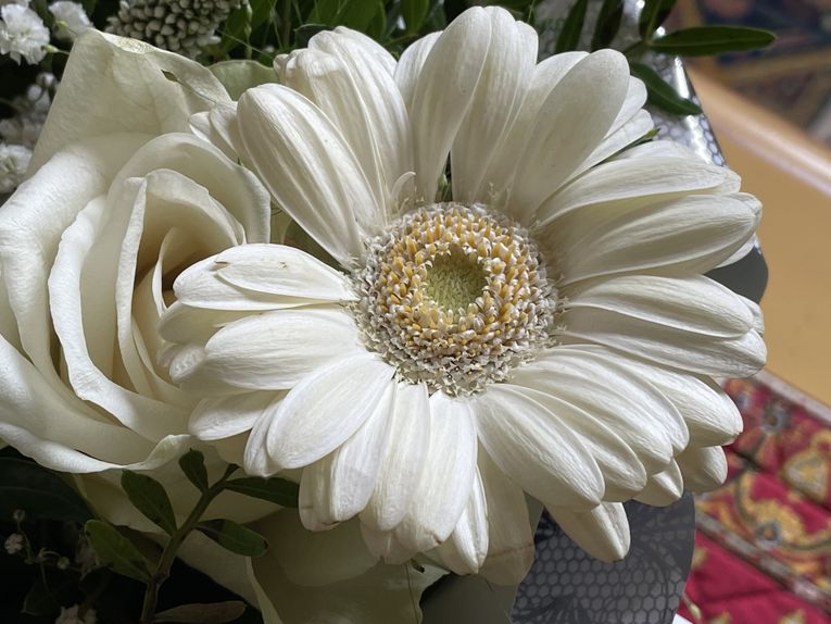 Lundi 27 octobre 2025 Ma gentille voisine m'a offert un beau bouquet dernièrement ,&quot;Un petit bouquet pour prolonger la beauté du geste. Belle semaine à vous qui passez par ici ! mon diapo s'en suit 