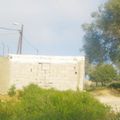 البناء العشوائي في طنجة يمتد إلى المقابر