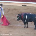 T comme... Tauromachie (+ petit aparté sur la photographie)