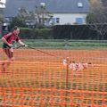 Les équipes de cross-canin