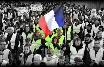 LES RAISONS DE LA COLÈRE