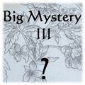 BIG MYSTERY 3 - PROJET NUMERO 1