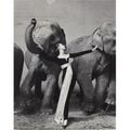 Richard Avedon, "Dovima with elephants, evening dress by Dior, Cirque d'hiver, Paris" 