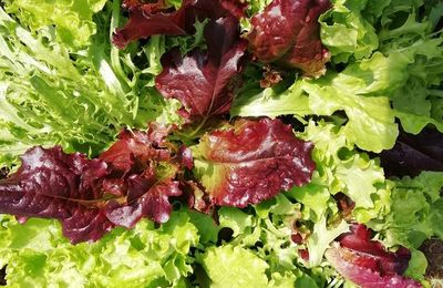 Panier de la semaine