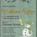 La belle expo de Castanet-Tolosan