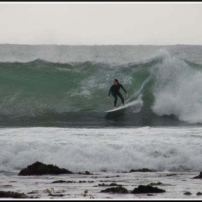 LA SAISON TARDE A SE LANCER