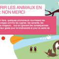 Nourrir les animaux en ville (source www.strasbourg.eu)