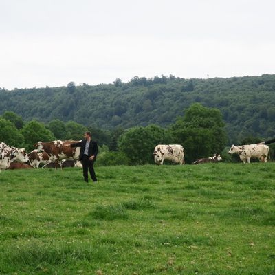 In-stabulation // 6, 11 et 12 septembre 2018