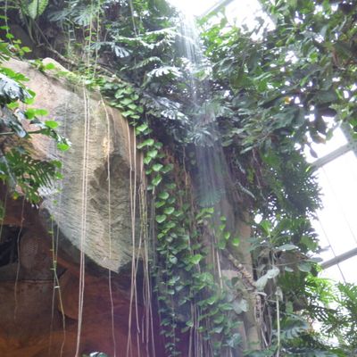 S'Amuser Ensemble cette semaine #658