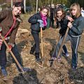PLUS DE 2 000 ARBRES ET 107 ESSENCES PLANTÉS : LE TRAIT D’UNION ENTRE LES GÉNÉRATIONS DE JEUNES HIRSONNAIS.