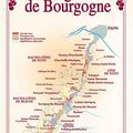 Les Vins de Bourgogne