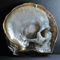Mother of Pearl Shell Skull Carvings by Gregory Halili 