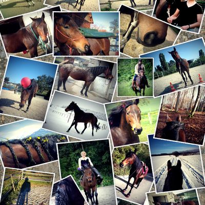 Ma Danny, ma première juju de coeur, ma première