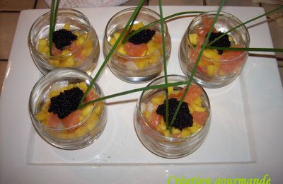 Verrine st jacques mangue saumon