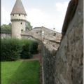 Abbaye de Cluny (71)