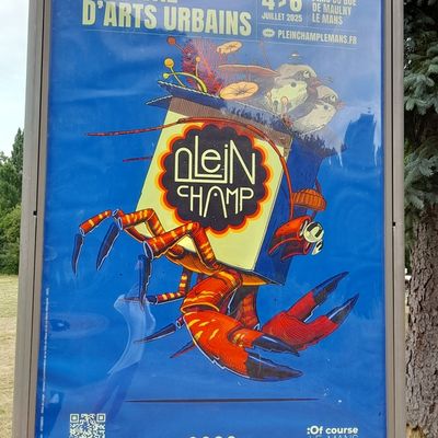 Allez, viens, je t'emmène .... au festival "Plein champ" ...1