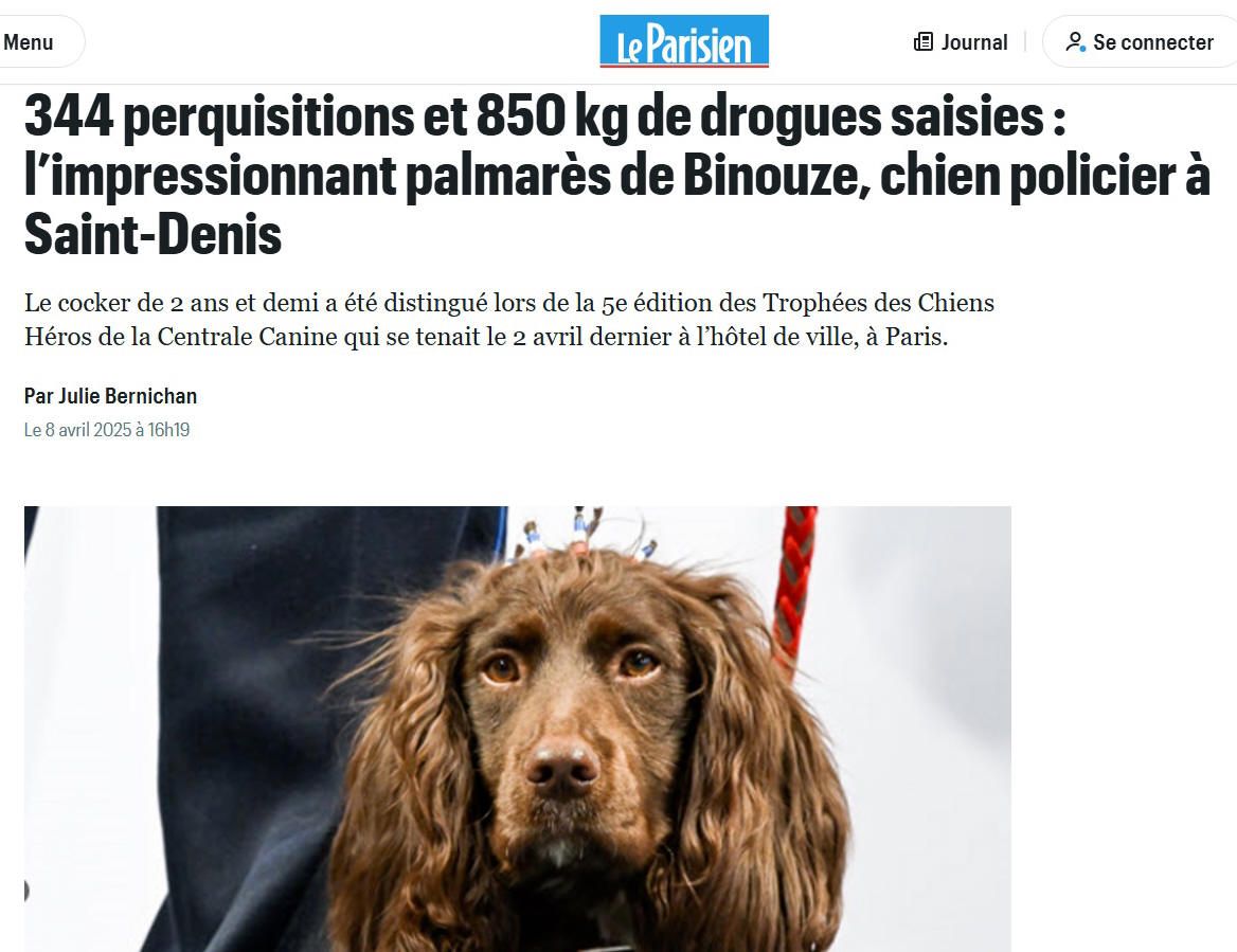 Champion Binouze