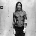 Bientôt un énième album signé Iggy Pop