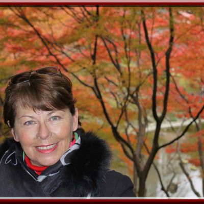 Le jardin Koishikawa Korakuen