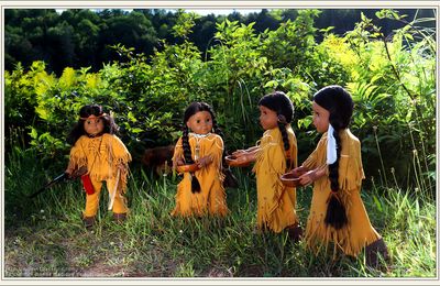 Cueillette et conservation des fruits chez les amérindiens + régime alimentaire de l'ours
