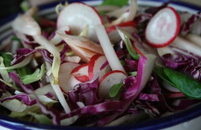 Salade craquante au chou rouge