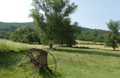 NOUVELLE SEMAINE... NOUVELLE PHOTO...