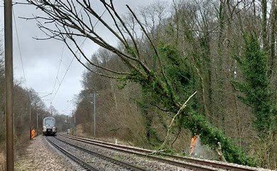 Axe Seine ferroviaire : la fragilité du tronçon Le Havre-Motteville !