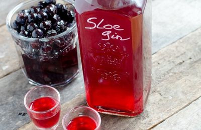 Sloe Gin - Gin aux prunelles