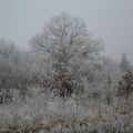 Poème pour l'hiver.