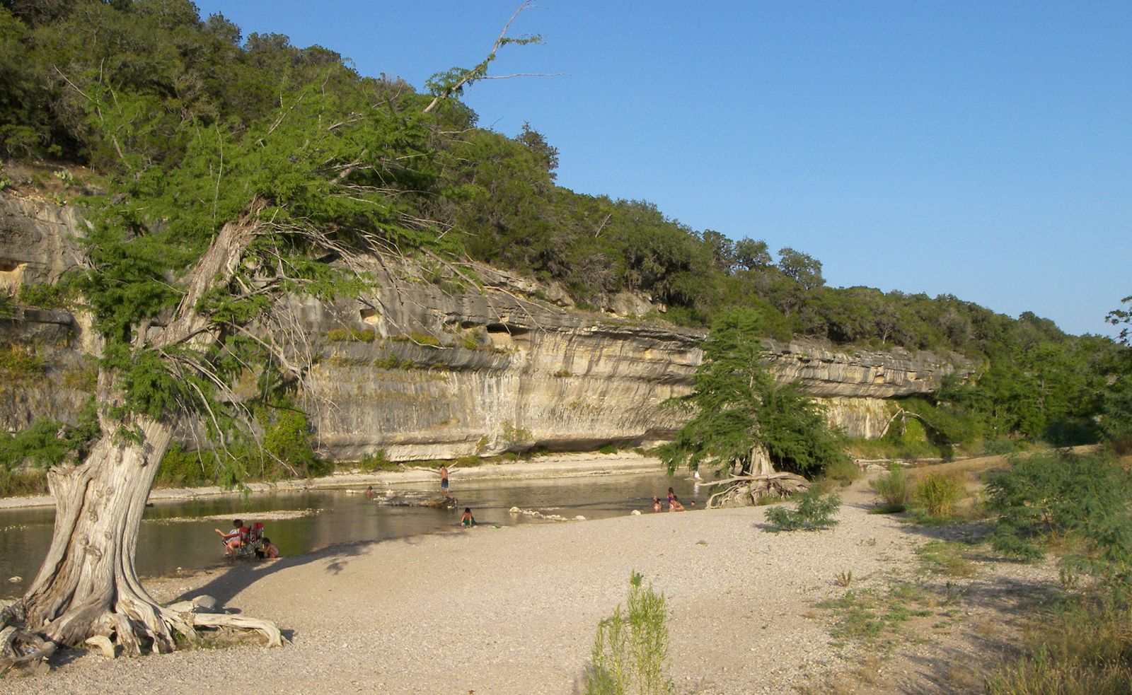 A bluff on the Guadalupe River in Guadalupe River State Park, Texas, United States, 12 juillet 2009.jpg