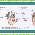 Façon de faire le Dhikr