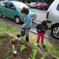 Aménagement d'une platebande devant le centre de quartier.