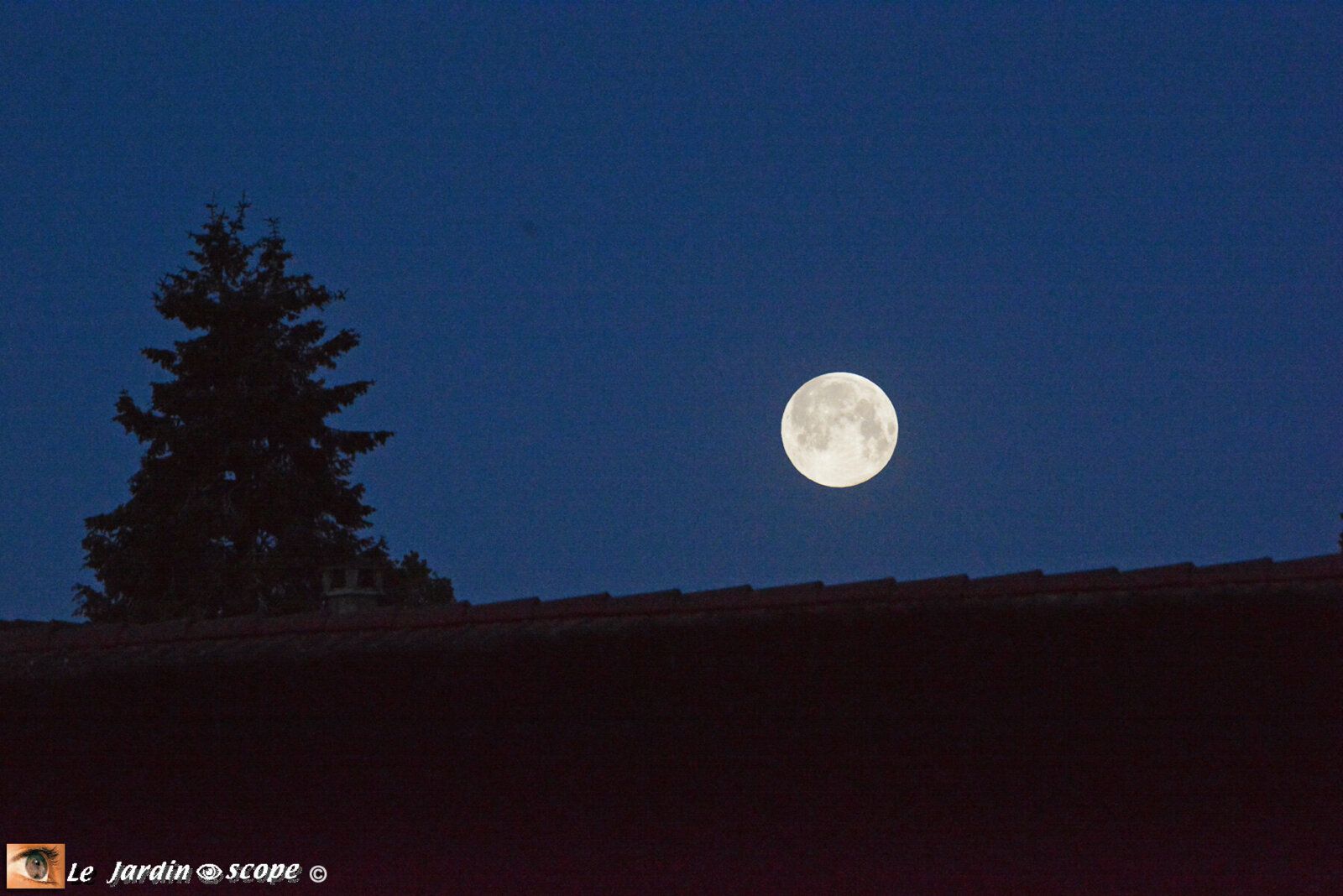 La Lune dite rose