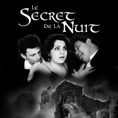 Le Secret de la Nuit : affiche et projection ! - The Secret of the Night: Poster and projection!