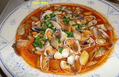 HARICOTS DE MER PETITS COQUILLAGES EN FORME DE HARICOTS
