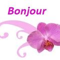 Rose fushia et dentelle