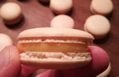 Macarons meringue française