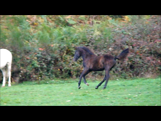 Enfin des nouvelles !