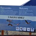045 - Argentine - El Calafate - Laguna Nimez