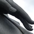 Curiosités de Shimabara