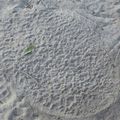 Le Botswana : immersion dans le delta de l'Okavango 4