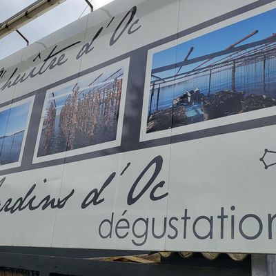 Jardins d'oc, Bar à huitres, huitres d'Oc, Bouzigues, 5*/6*