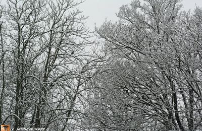 Le retour de la neige nous rappelle qu'on est encore en hiver !