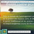 Gazon contre prairie par Paysagiste Pays Basque et Paysagiste Landes.