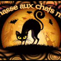 La chasse aux chats noirs