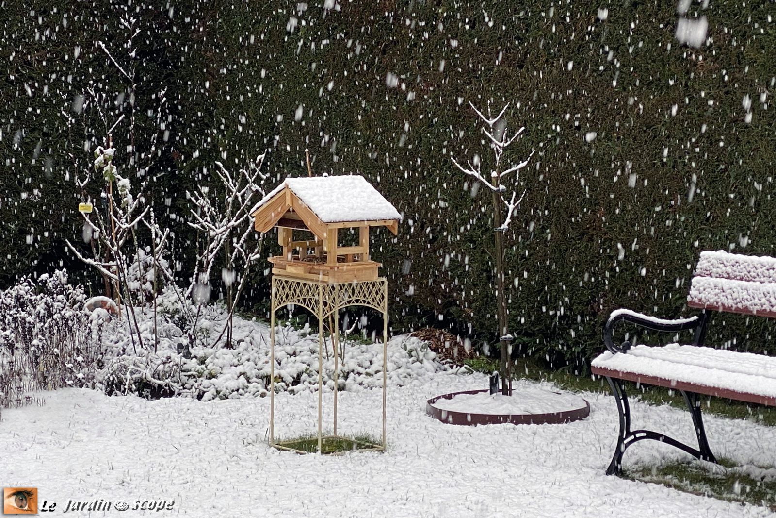 Il neige dans mon jardin