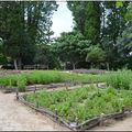 Le jardin médiéval de Narbonne