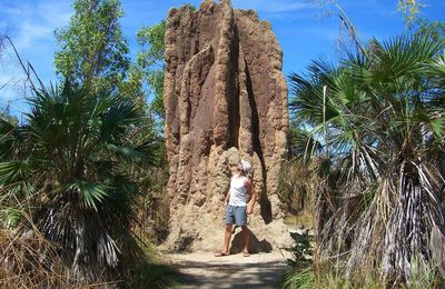 A PROXIMITE DE DARWIN  (Northern Territory)